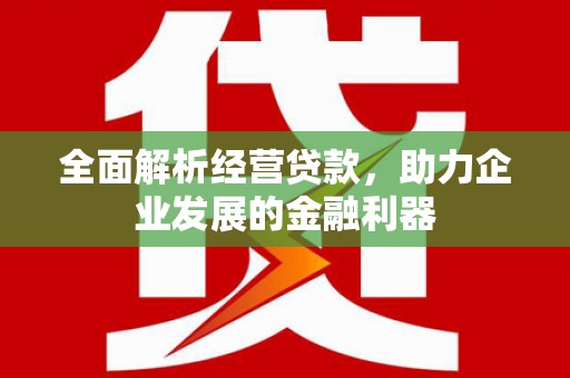 五原全面解析经营贷款，助力企业发展的金融利器