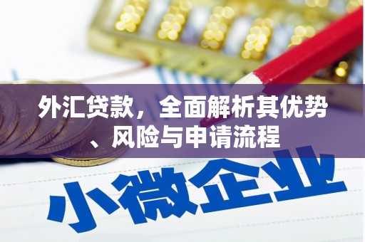 五原外汇贷款，全面解析其优势、风险与申请流程