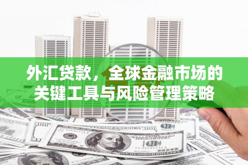 五原外汇贷款，全球金融市场的关键工具与风险管理策略