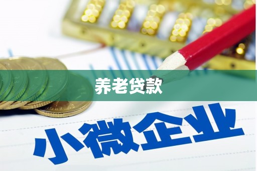 五原养老贷款