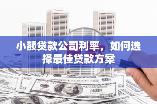 五原小额贷款公司利率，如何选择最佳贷款方案