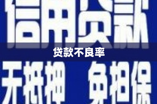 五原贷款不良率