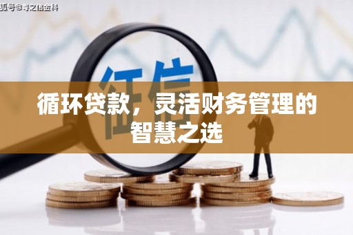 五原循环贷款，灵活财务管理的智慧之选