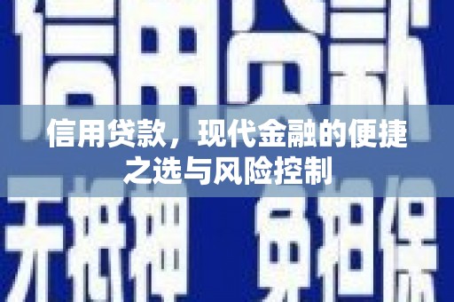 五原信用贷款，现代金融的便捷之选与风险控制