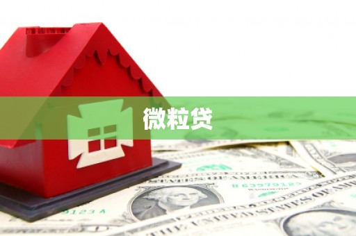 五原微粒贷