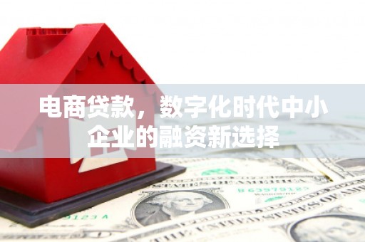 五原电商贷款，数字化时代中小企业的融资新选择