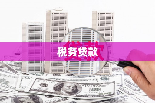 五原税务贷款