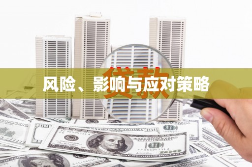 五原风险、影响与应对策略