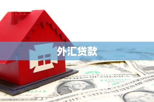 五原外汇贷款