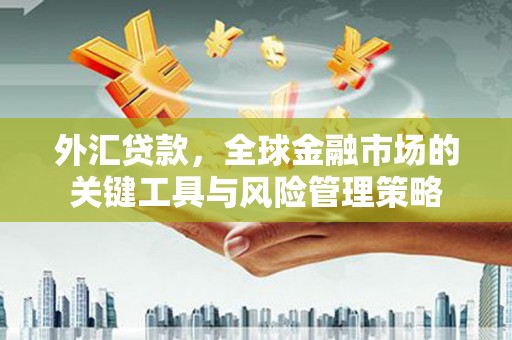 五原外汇贷款，全球金融市场的关键工具与风险管理策略