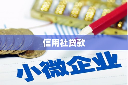 五原信用社贷款
