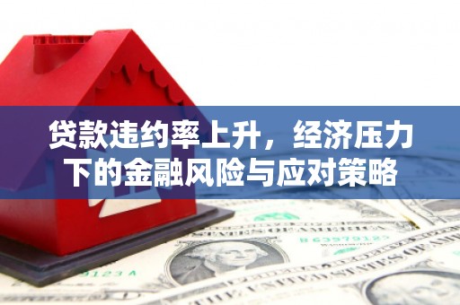 五原贷款违约率上升，经济压力下的金融风险与应对策略