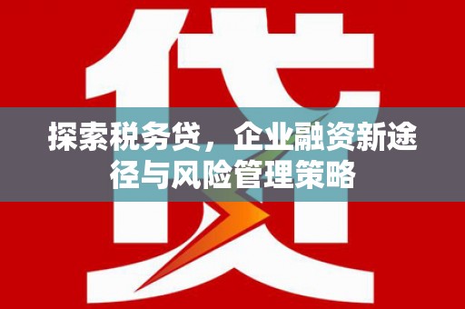 五原探索税务贷，企业融资新途径与风险管理策略