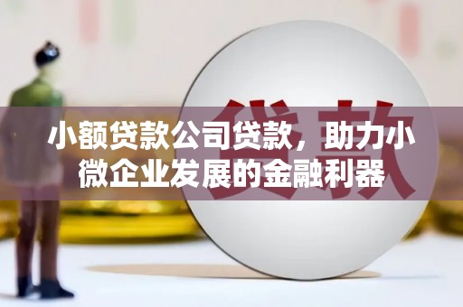 五原小额贷款公司贷款，助力小微企业发展的金融利器