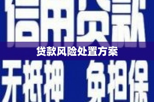 五原贷款风险处置方案