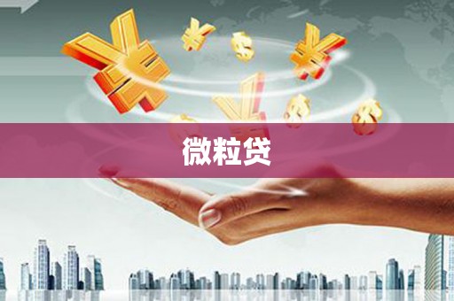 五原微粒贷