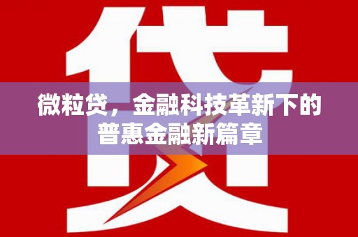 五原微粒贷，金融科技革新下的普惠金融新篇章