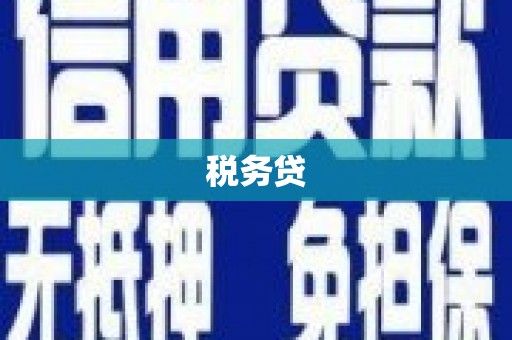 五原税务贷