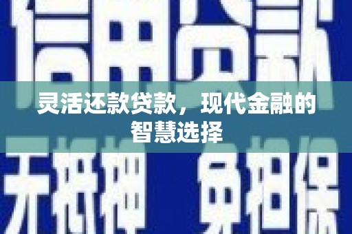 五原灵活还款贷款，现代金融的智慧选择