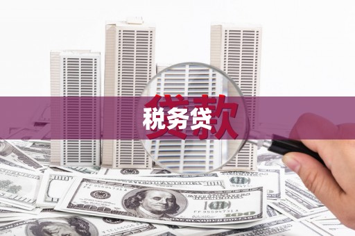 五原税务贷