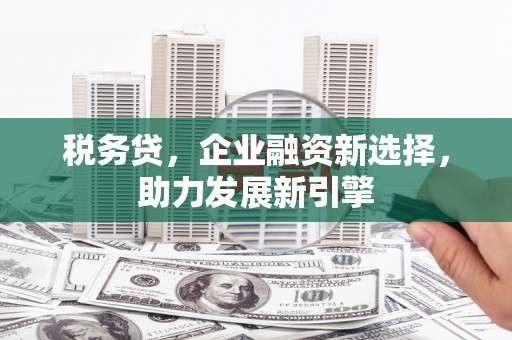 五原税务贷，企业融资新选择，助力发展新引擎