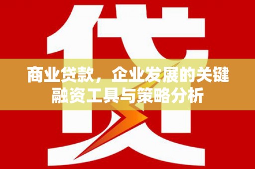 五原商业贷款，企业发展的关键融资工具与策略分析