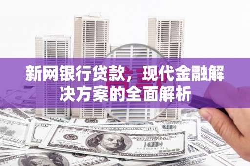 五原新网银行贷款，现代金融解决方案的全面解析