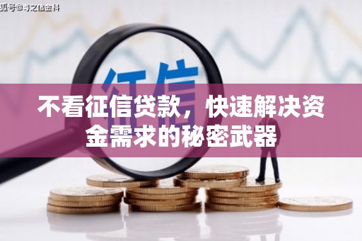 五原不看征信贷款，快速解决资金需求的秘密武器