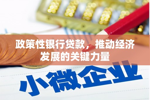 五原政策性银行贷款，推动经济发展的关键力量