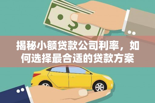 五原揭秘小额贷款公司利率，如何选择最合适的贷款方案