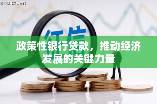 五原政策性银行贷款，推动经济发展的关键力量