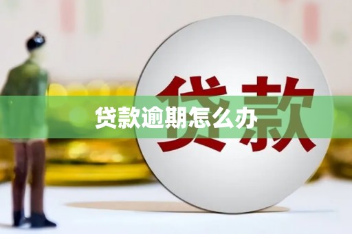 五原贷款逾期怎么办