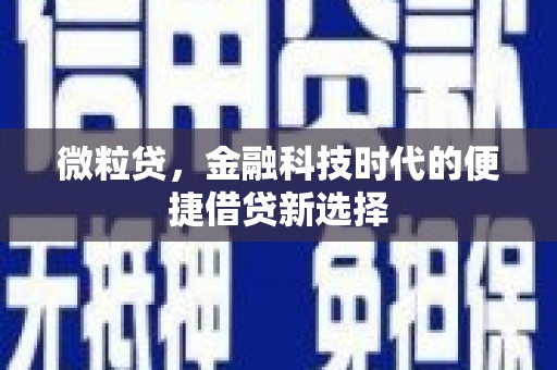 五原微粒贷，金融科技时代的便捷借贷新选择