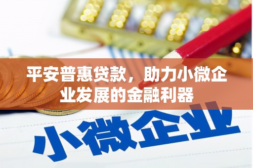 五原平安普惠贷款，助力小微企业发展的金融利器