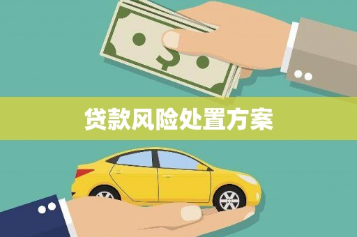 五原贷款风险处置方案