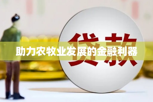 五原助力农牧业发展的金融利器