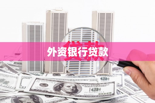 五原外资银行贷款