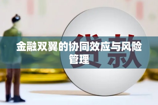 五原金融双翼的协同效应与风险管理
