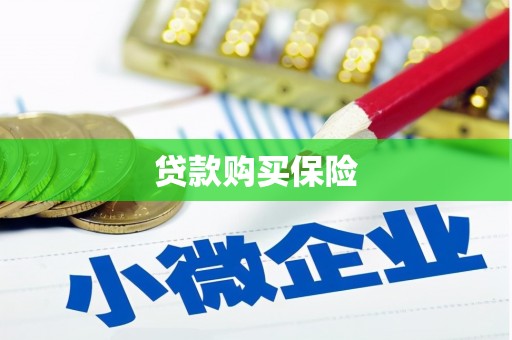五原贷款购买保险